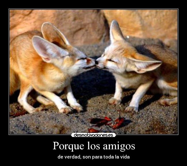 Porque los amigos -