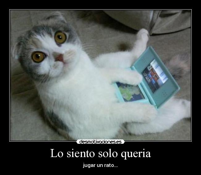 Lo siento solo queria - 