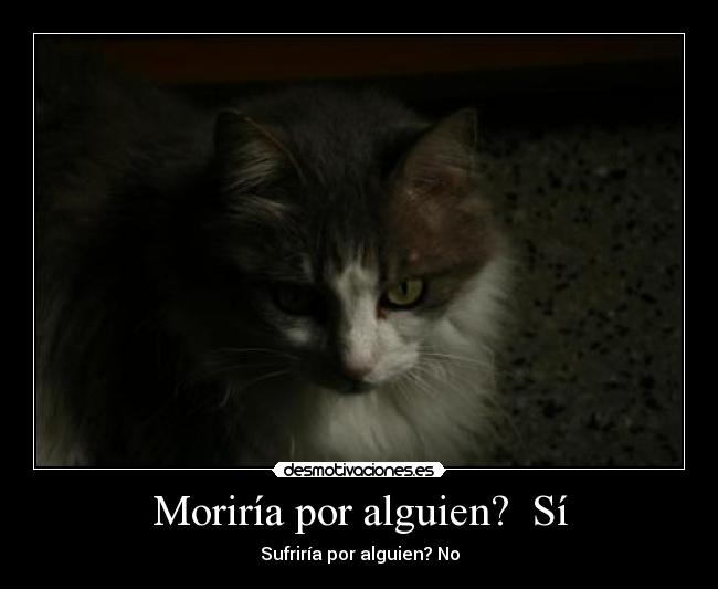 carteles moriria por alguien sufriria desmotivaciones