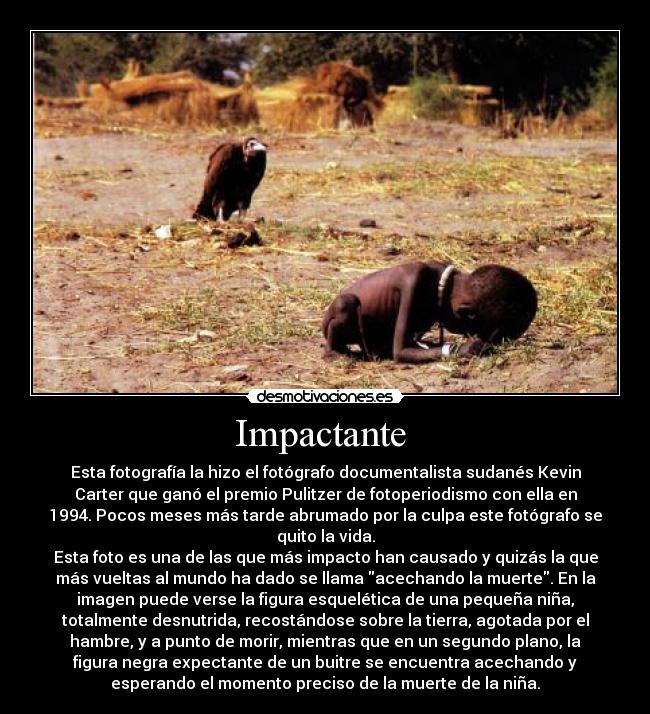 Impactante - Esta fotografía la hizo el fotógrafo documentalista sudanés Kevin
Carter que ganó el premio Pulitzer de fotoperiodismo con ella en
1994. Pocos meses más tarde abrumado por la culpa este fotógrafo se
quito la vida.
Esta foto es una de las que más impacto han causado y quizás la que
más vueltas al mundo ha dado se llama acechando la muerte. En la
imagen puede verse la figura esquelética de una pequeña niña,
totalmente desnutrida, recostándose sobre la tierra, agotada por el
hambre, y a punto de morir, mientras que en un segundo plano, la
figura negra expectante de un buitre se encuentra acechando y
esperando el momento preciso de la muerte de la niña.