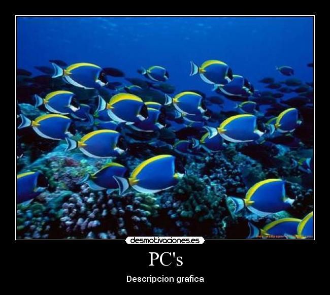 PCs - Descripcion grafica