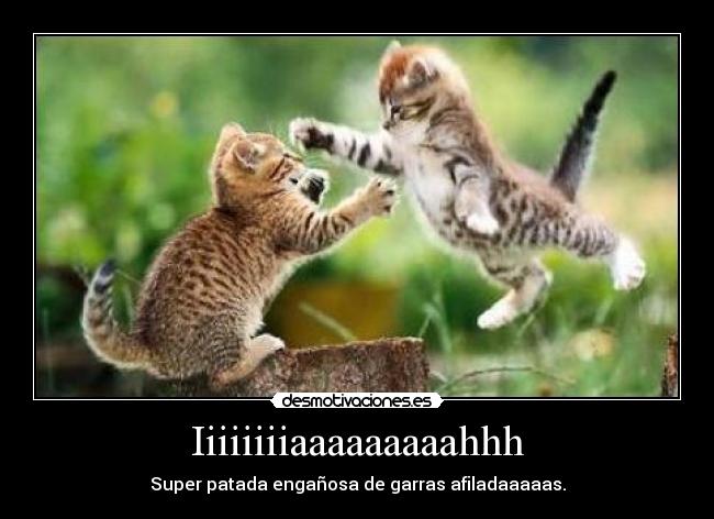 Iiiiiiiiaaaaaaaaahhh - Super patada engañosa de garras afiladaaaaas.