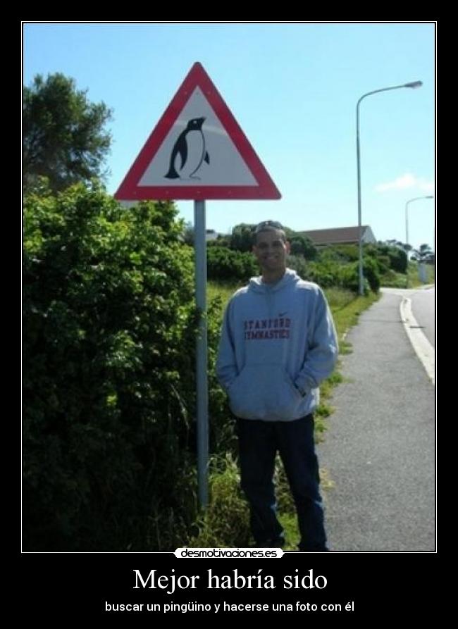 Mejor habría sido - buscar un pingüino y hacerse una foto con él
