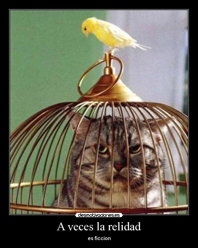 A veces la relidad -