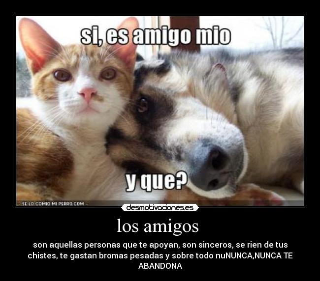 los amigos - son aquellas personas que te apoyan, son sinceros, se rien de tus
chistes, te gastan bromas pesadas y sobre todo nuNUNCA,NUNCA TE
ABANDONA