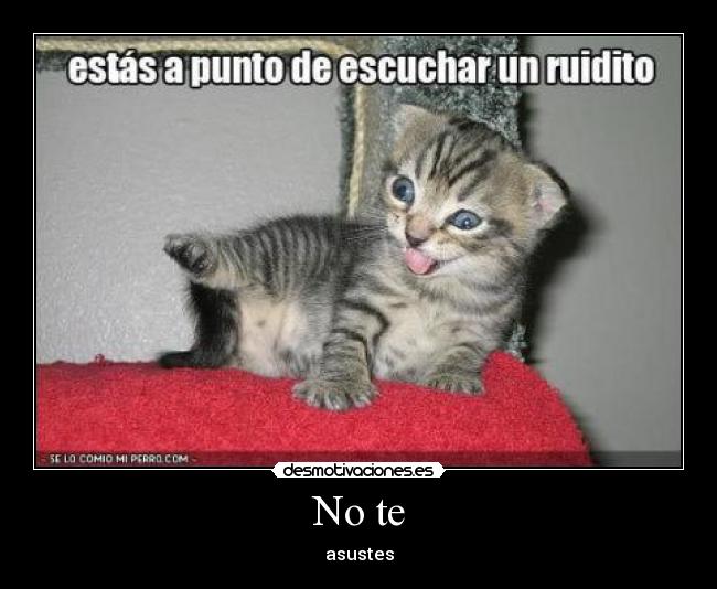 No te - 