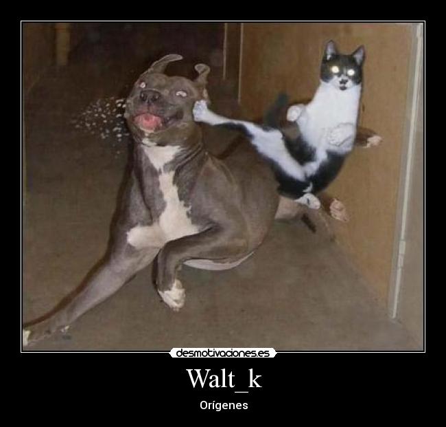 Walt_k -