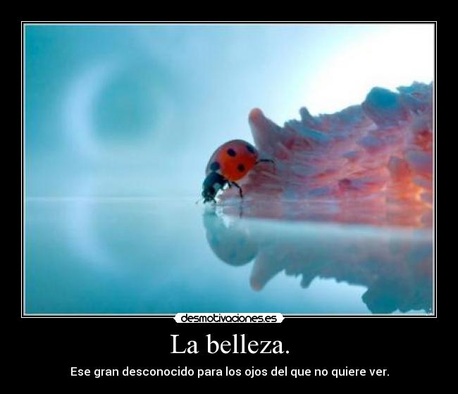 La belleza. -
