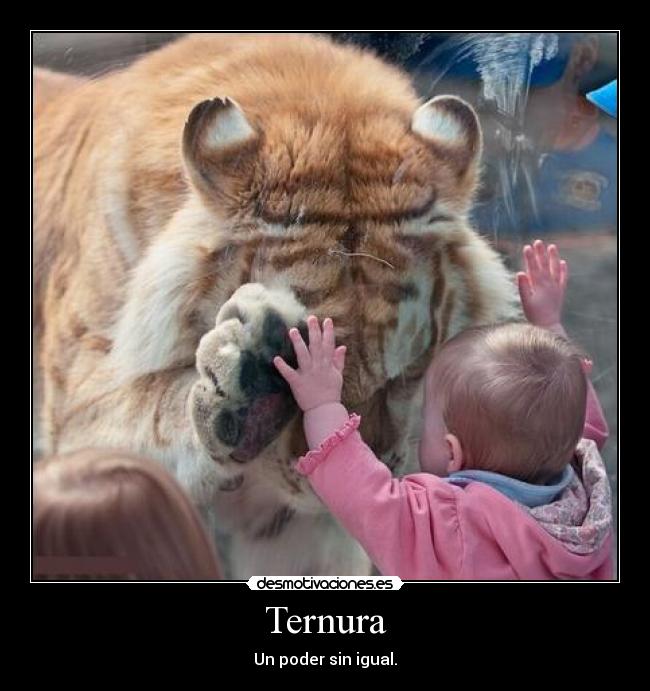 Ternura - Un poder sin igual.