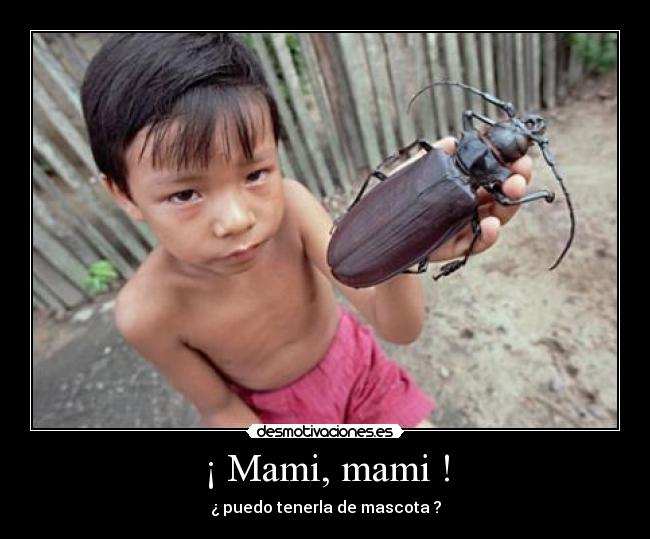 ¡ Mami, mami ! - ¿ puedo tenerla de mascota ?