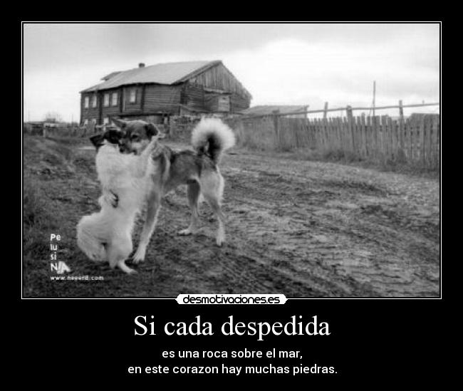 Si cada despedida - es una roca sobre el mar,
en este corazon hay muchas piedras.