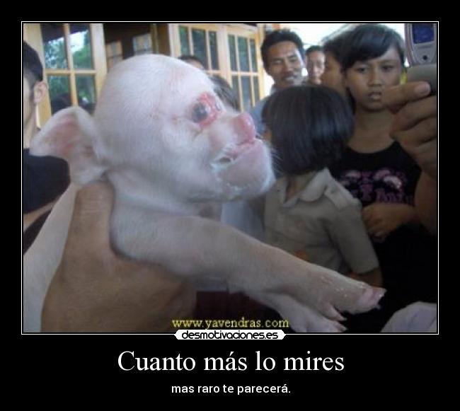 Cuanto más lo mires - mas raro te parecerá.