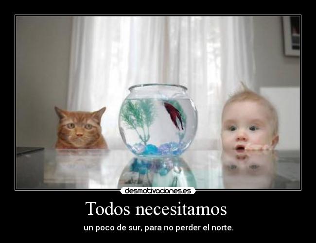 Todos necesitamos - un poco de sur, para no perder el norte.