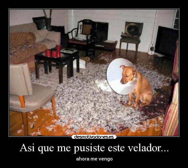 Asi que me pusiste este velador... - ahora me vengo