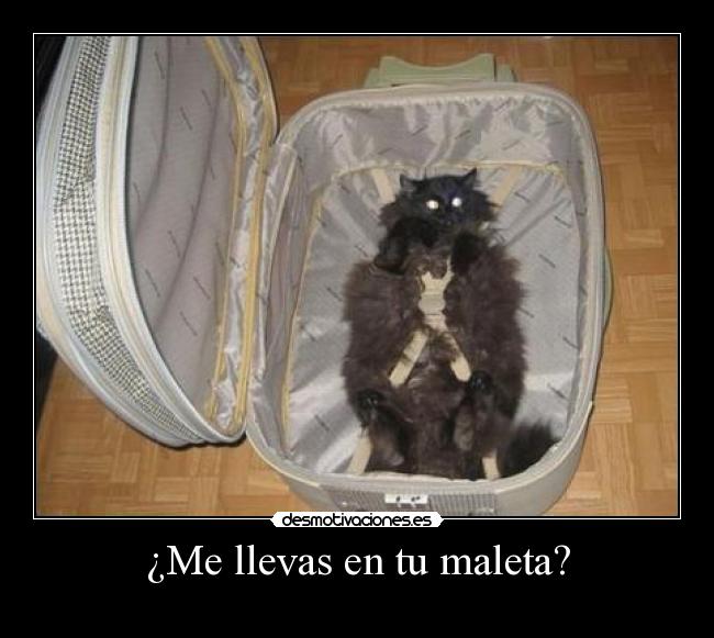 ¿Me llevas en tu maleta? -