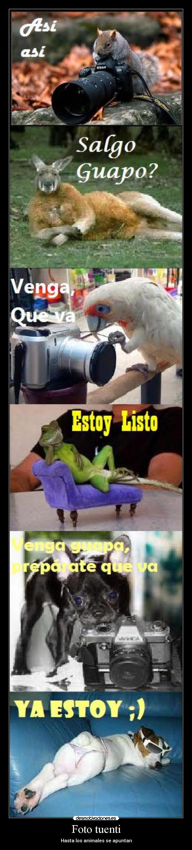 Foto tuenti - Hasta los animales se apuntan