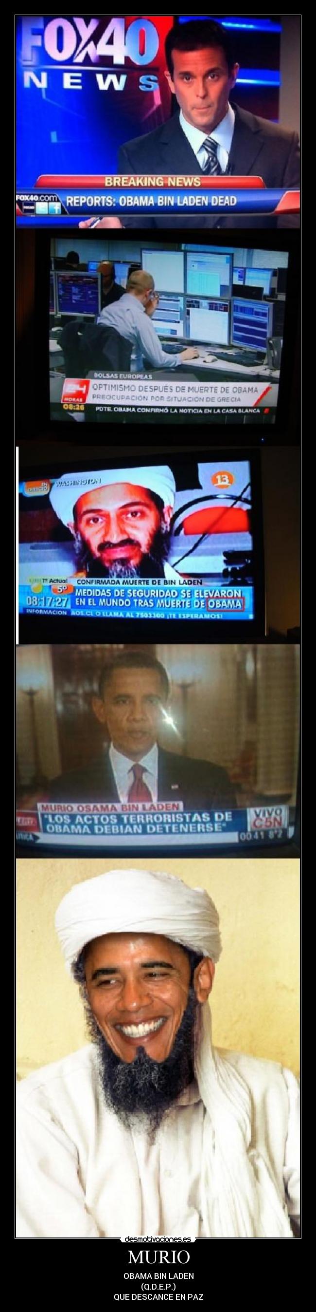 carteles obama bin ladem desmotivaciones