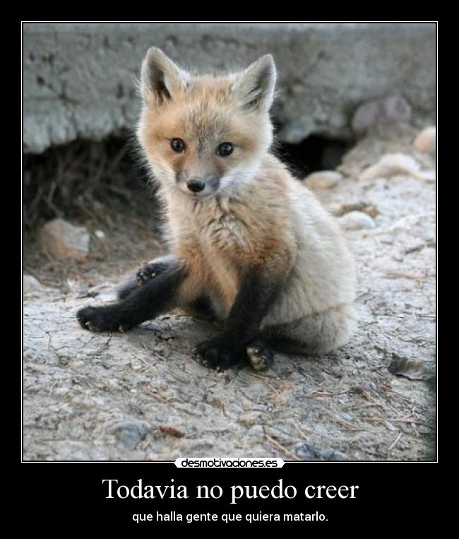 Todavia no puedo creer - que halla gente que quiera matarlo.