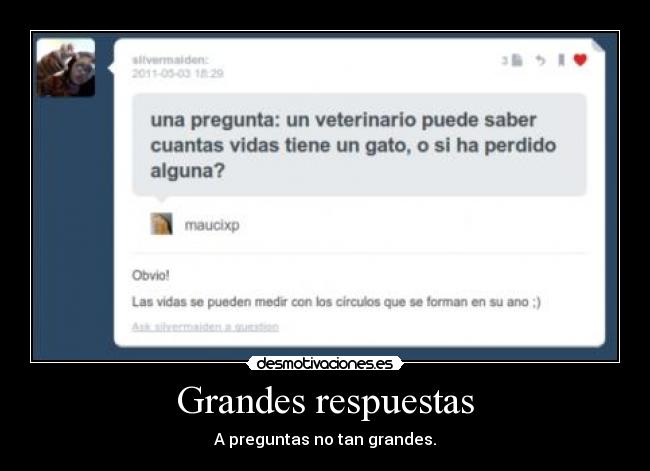 Grandes respuestas - A preguntas no tan grandes.