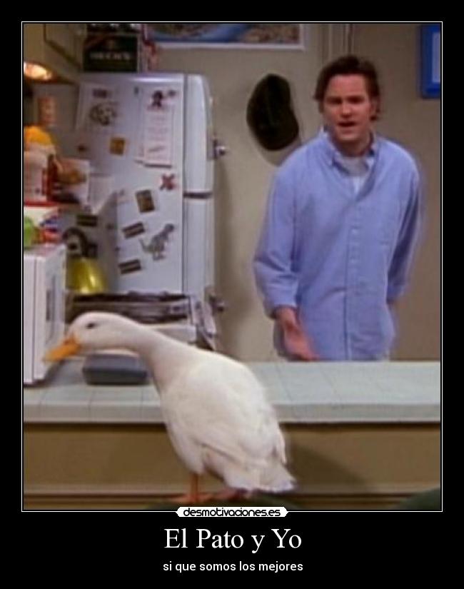 El Pato y Yo - 