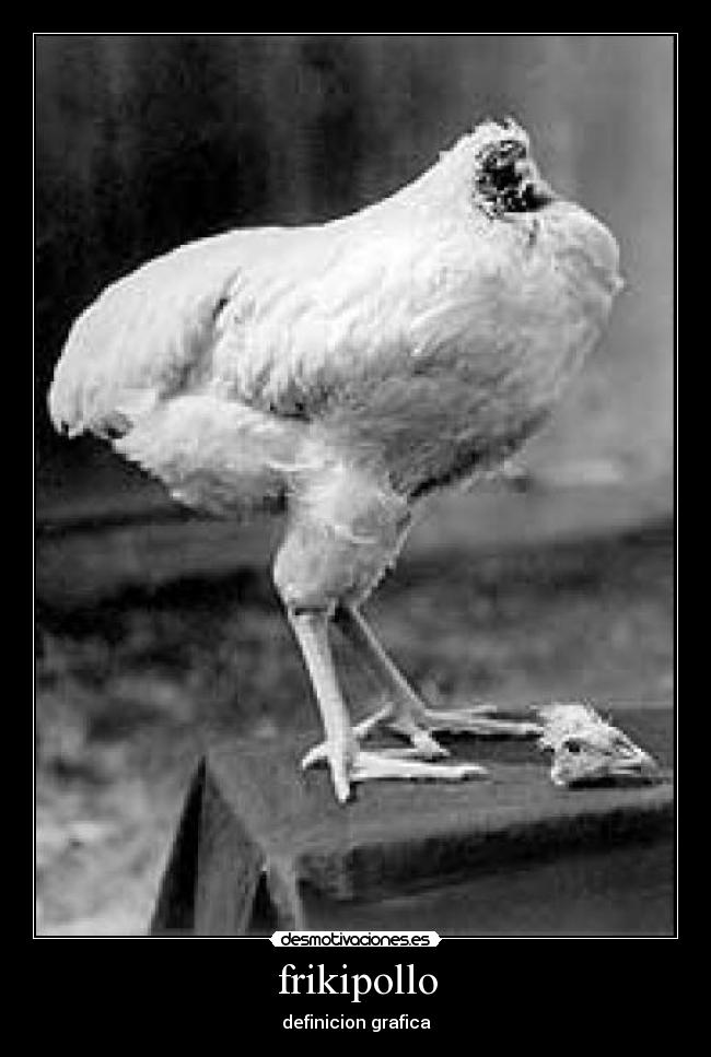 frikipollo - definicion grafica