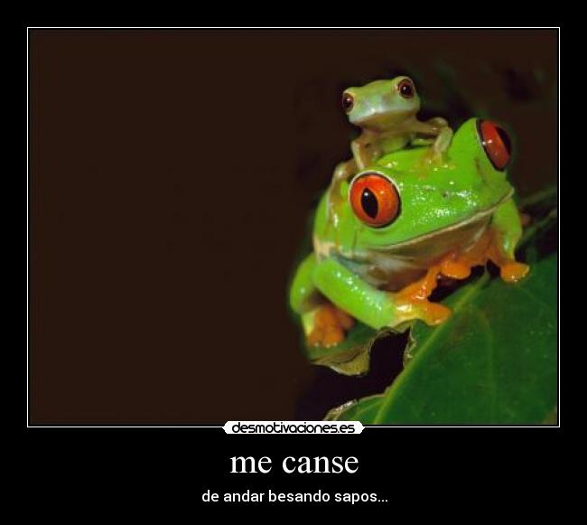 me canse - de andar besando sapos...