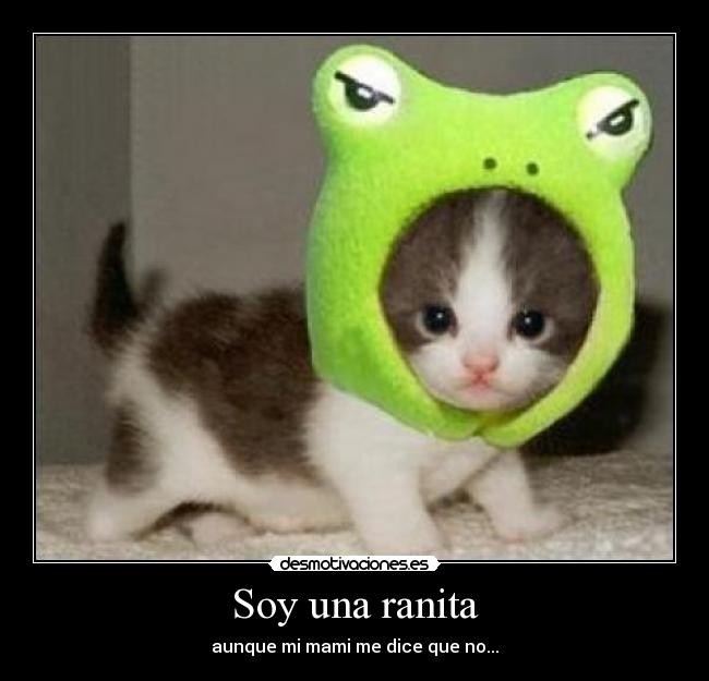 Soy una ranita - 