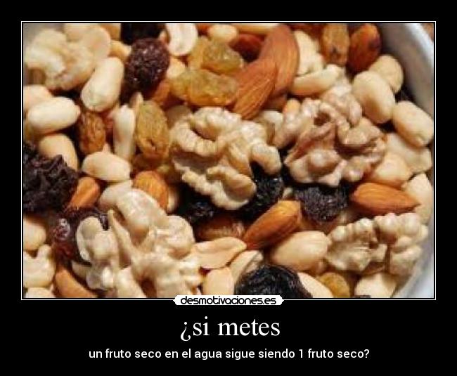 ¿si metes - un fruto seco en el agua sigue siendo 1 fruto seco?