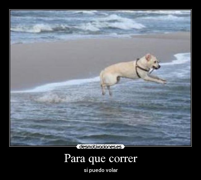 carteles dispot desmotivaciones