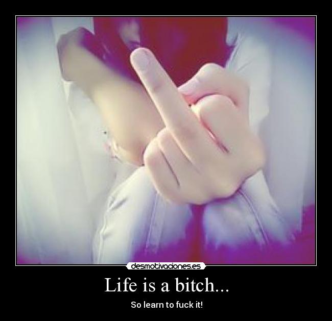 carteles lifeisabitch desmotivaciones