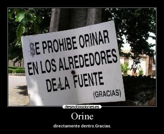 Orine - directamente dentro.Gracias.