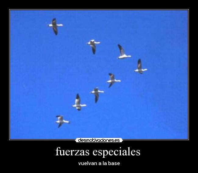 fuerzas especiales - vuelvan a la base