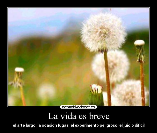 La vida es breve - el arte largo, la ocasión fugaz, el experimento peligroso; el juicio difícil