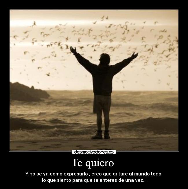 Te quiero  - 