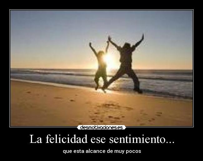 La felicidad ese sentimiento... -