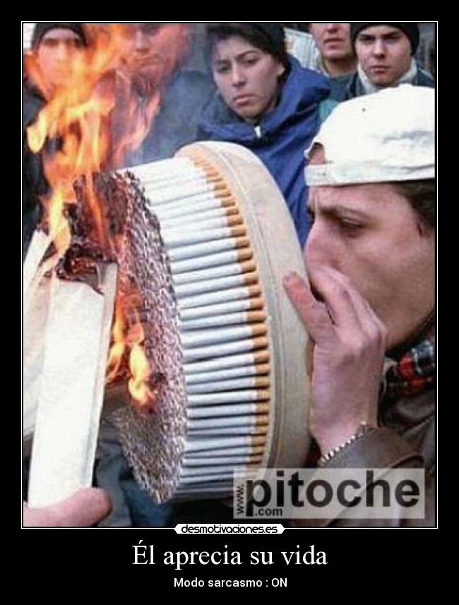 Él aprecia su vida - Modo sarcasmo : ON