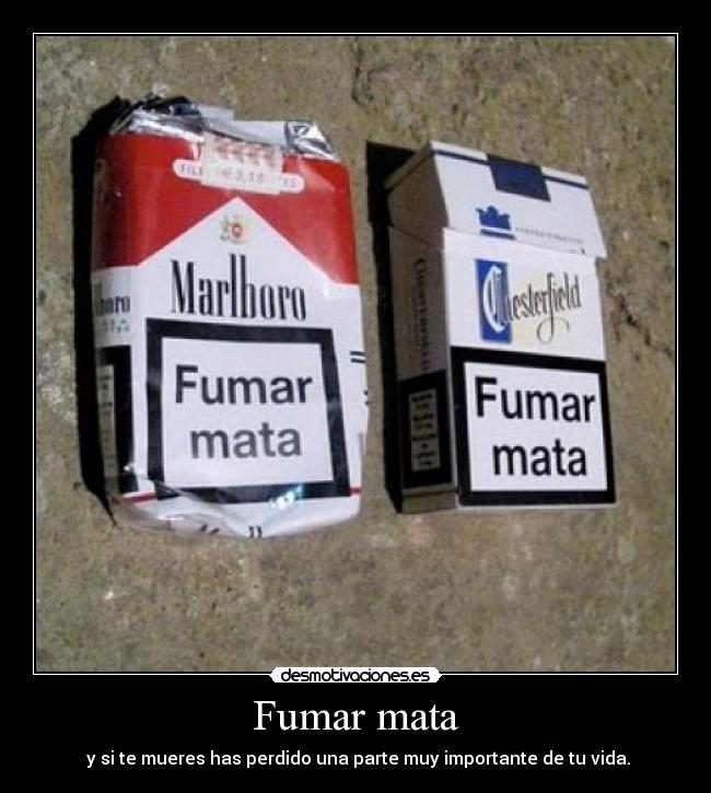 carteles fumar mata mueres importante vida desmotivaciones