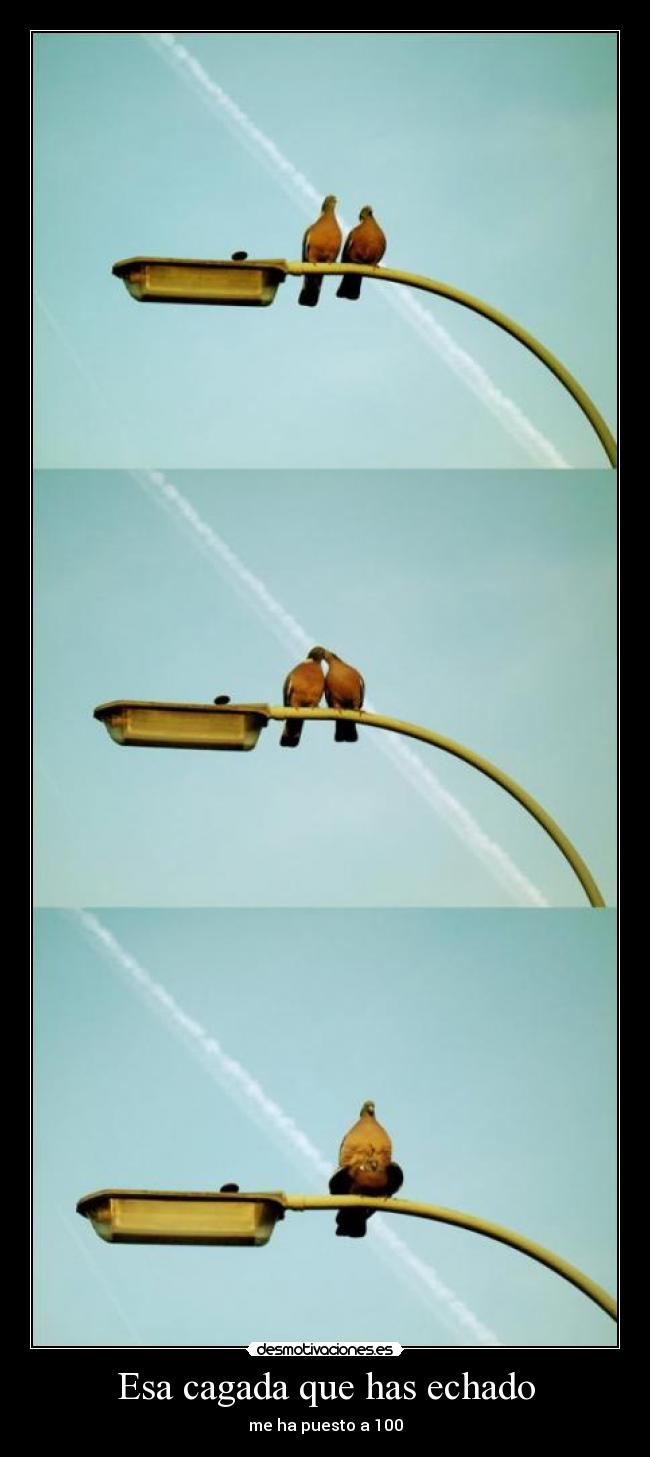 Esa cagada que has echado - me ha puesto a 100