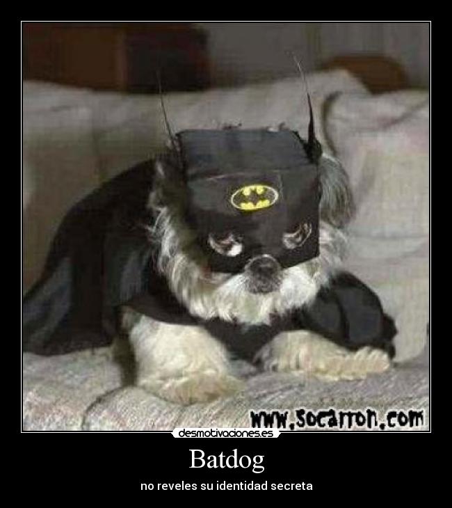 Batdog - no reveles su identidad secreta