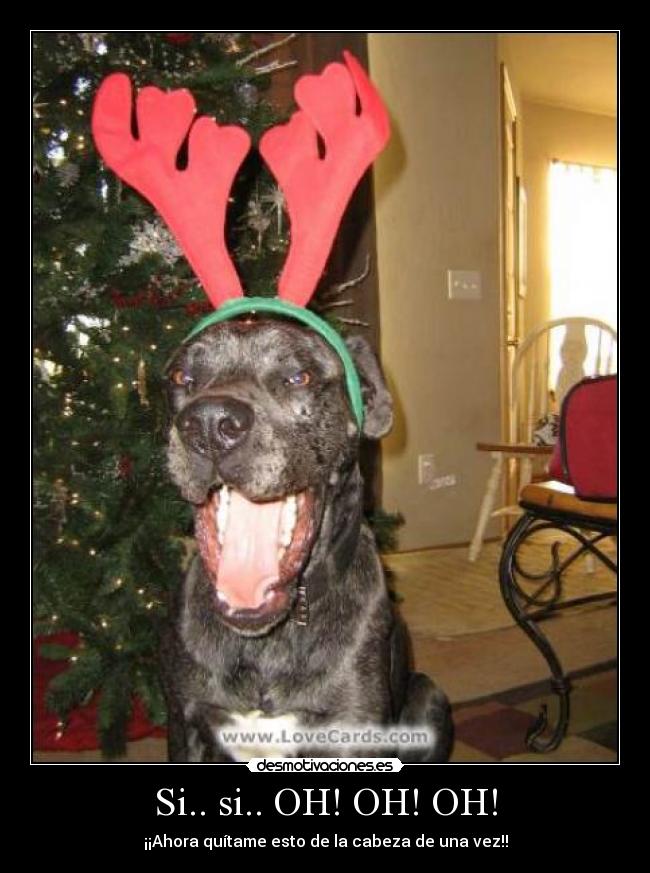 Si.. si.. OH! OH! OH! - ¡¡Ahora quítame esto de la cabeza de una vez!!