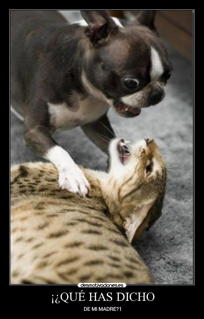 ¡¿QUÉ HAS DICHO - DE MI MADRE?1