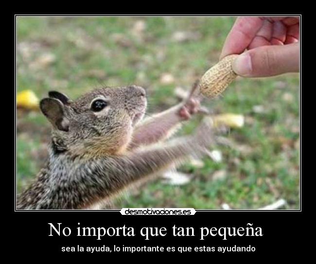 No importa que tan pequeña - sea la ayuda, lo importante es que estas ayudando