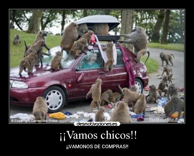 ¡¡Vamos chicos!! - 