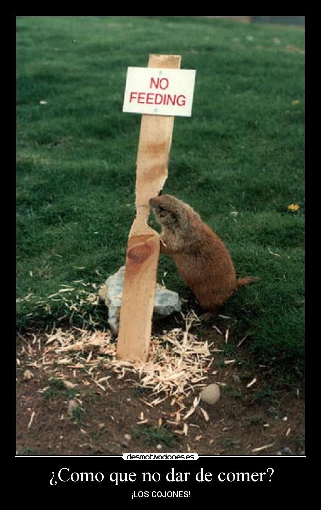 ¿Como que no dar de comer? -