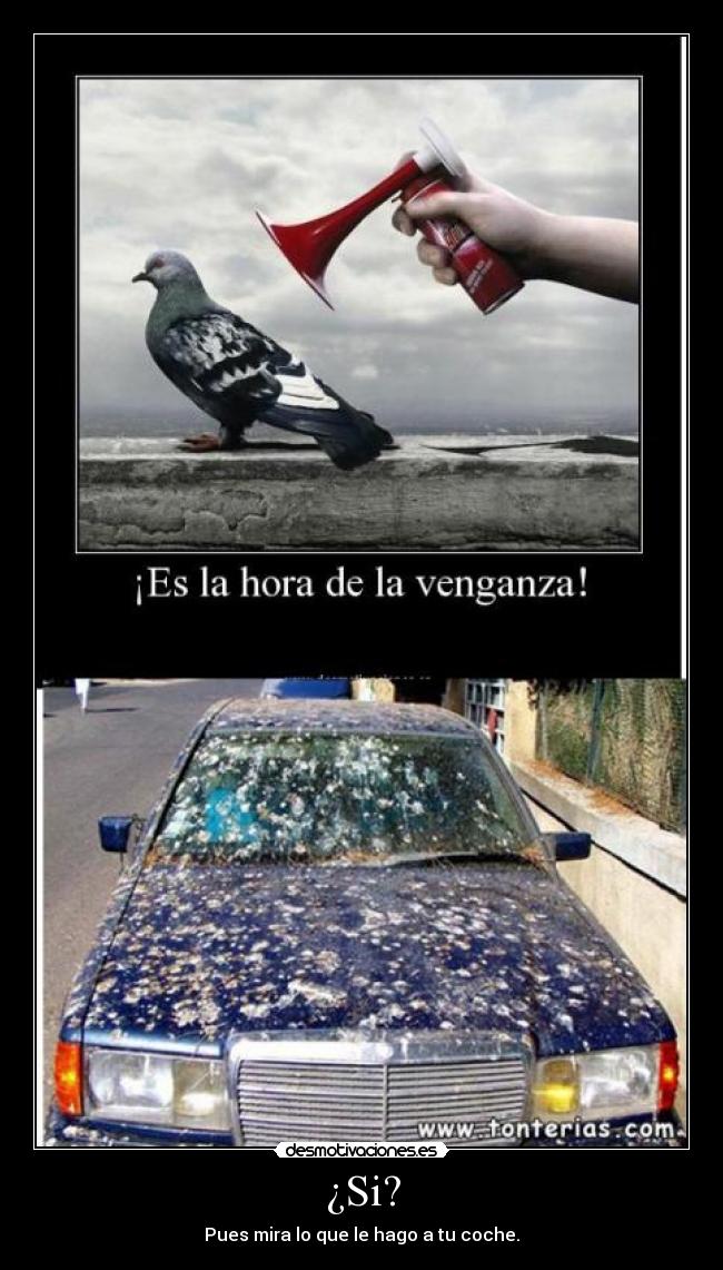 carteles wwwdesmotivacioneses desmotivaciones