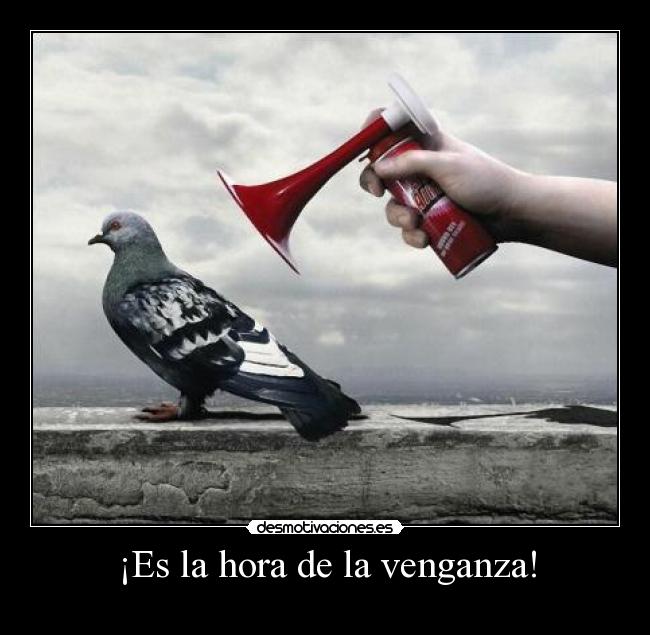 carteles palomas que seran vengadas muahaha desmotivaciones