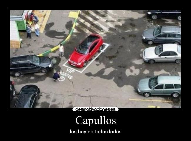 carteles capullo desmotivaciones