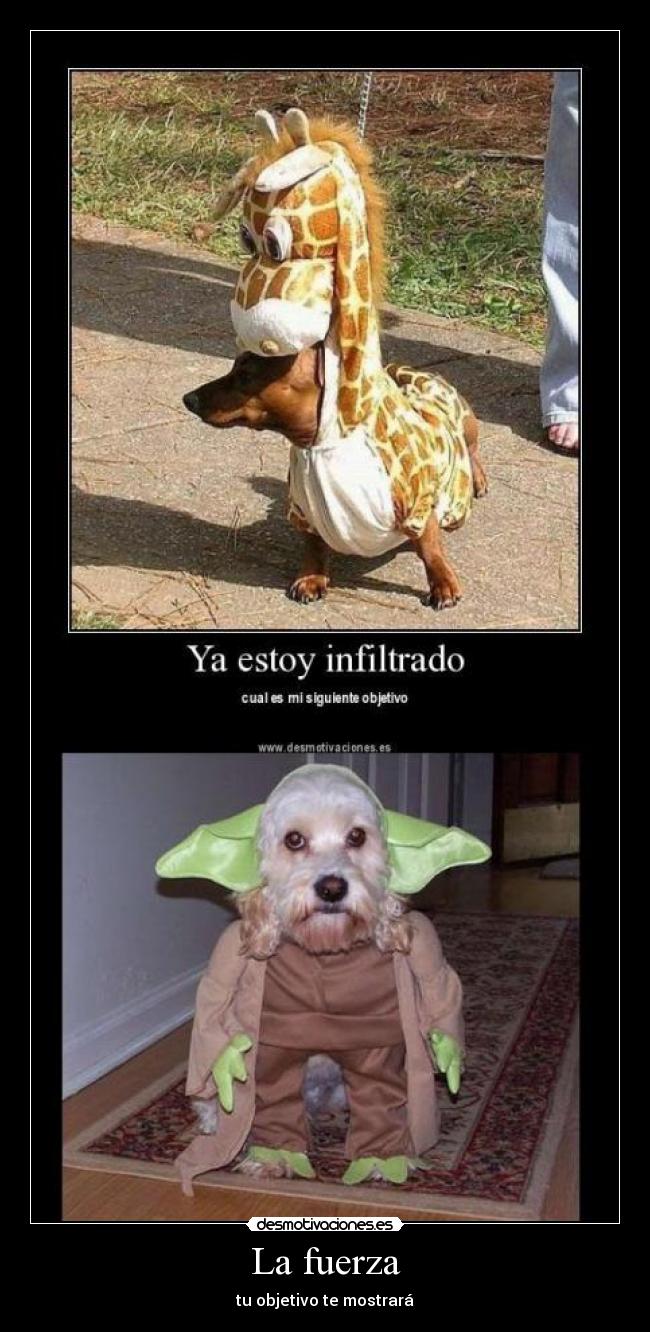 La fuerza - tu objetivo te mostrará