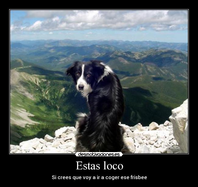 Estas loco - 