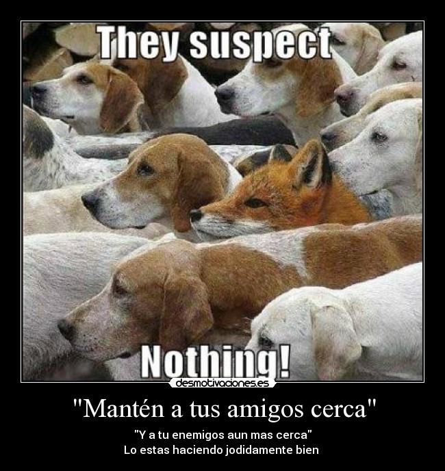 Mantén a tus amigos cerca -